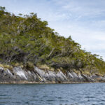 Reserva Nacional Katalalixar. Créditos: Benjamín Valenzuela Wallis.