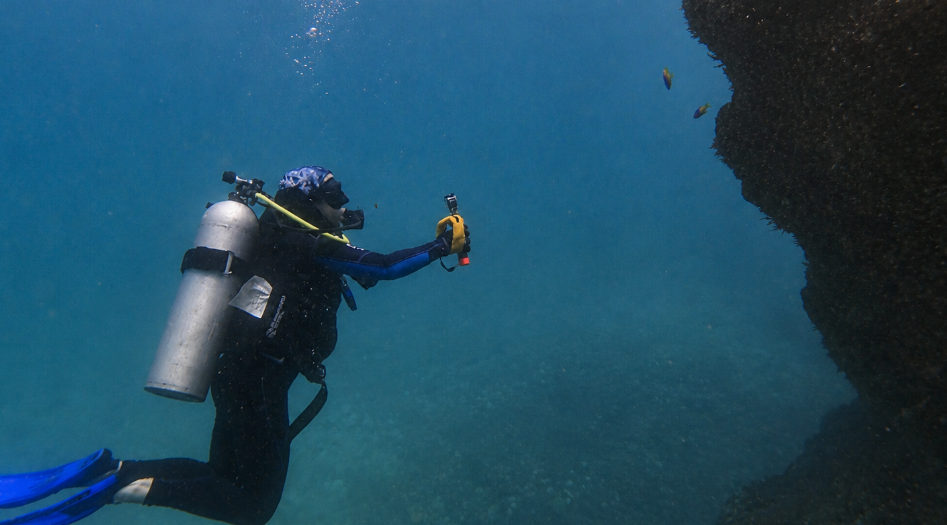 El mapa oculto del Golfo de México: ya van 125 arrecifes y ecosistemas submarinos descubiertos
