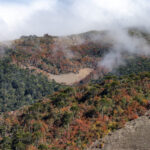 Reserva Nacional Malalcahuello - Nalcas. Créditos: Benjamín Valenzuela Wallis.