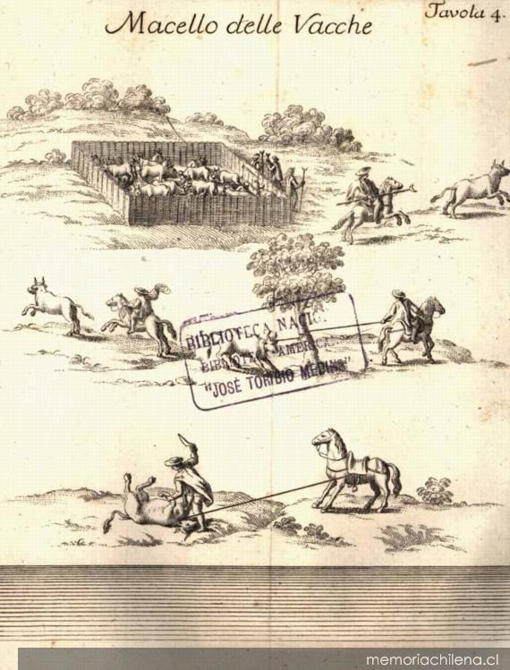 Macello delle Vacche, 1776. Compendio della storia geografica, naturale, e civili del regno del Chile. Créditos: Memoria Chilena