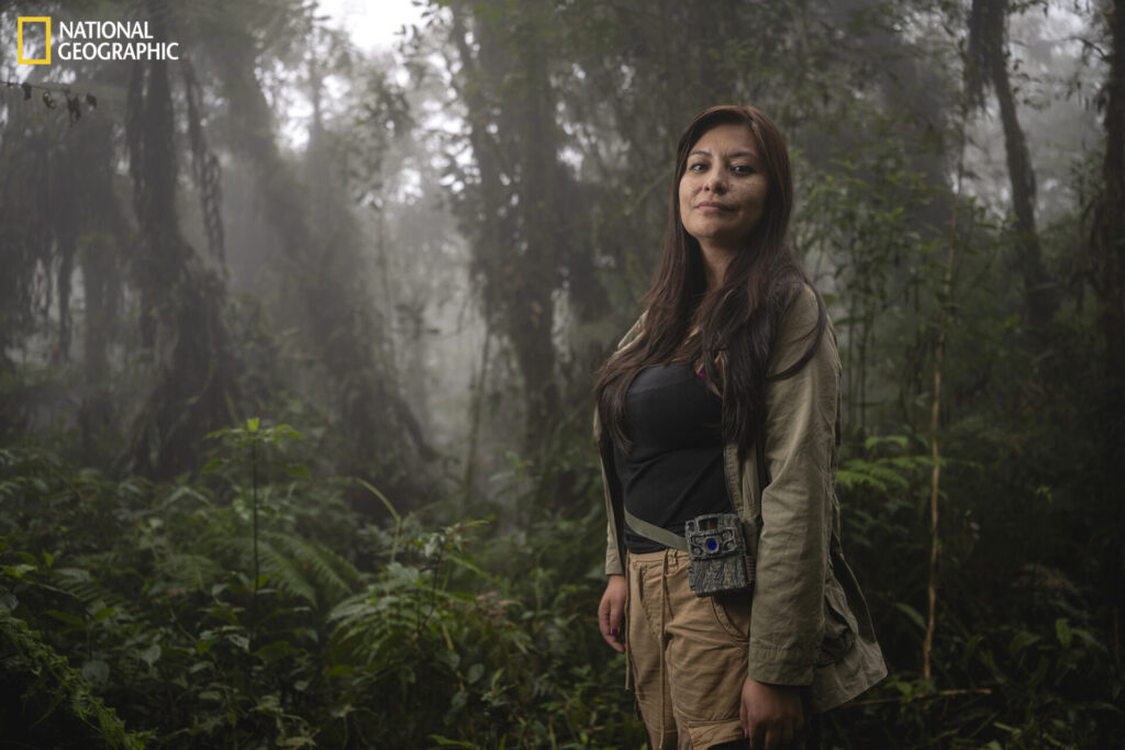 Bolivia, 2 de septiembre de 2026 – La exploradora de National Geographic Paola Nogales Ascarrunz explora el bosque húmedo de alta montaña de la región de los Yungas en busca de indicios del Leopardus tilcayo y de lugares adecuados para instalar cámaras trampa. Fotografía de Fernando Faciole/National Geographic.
