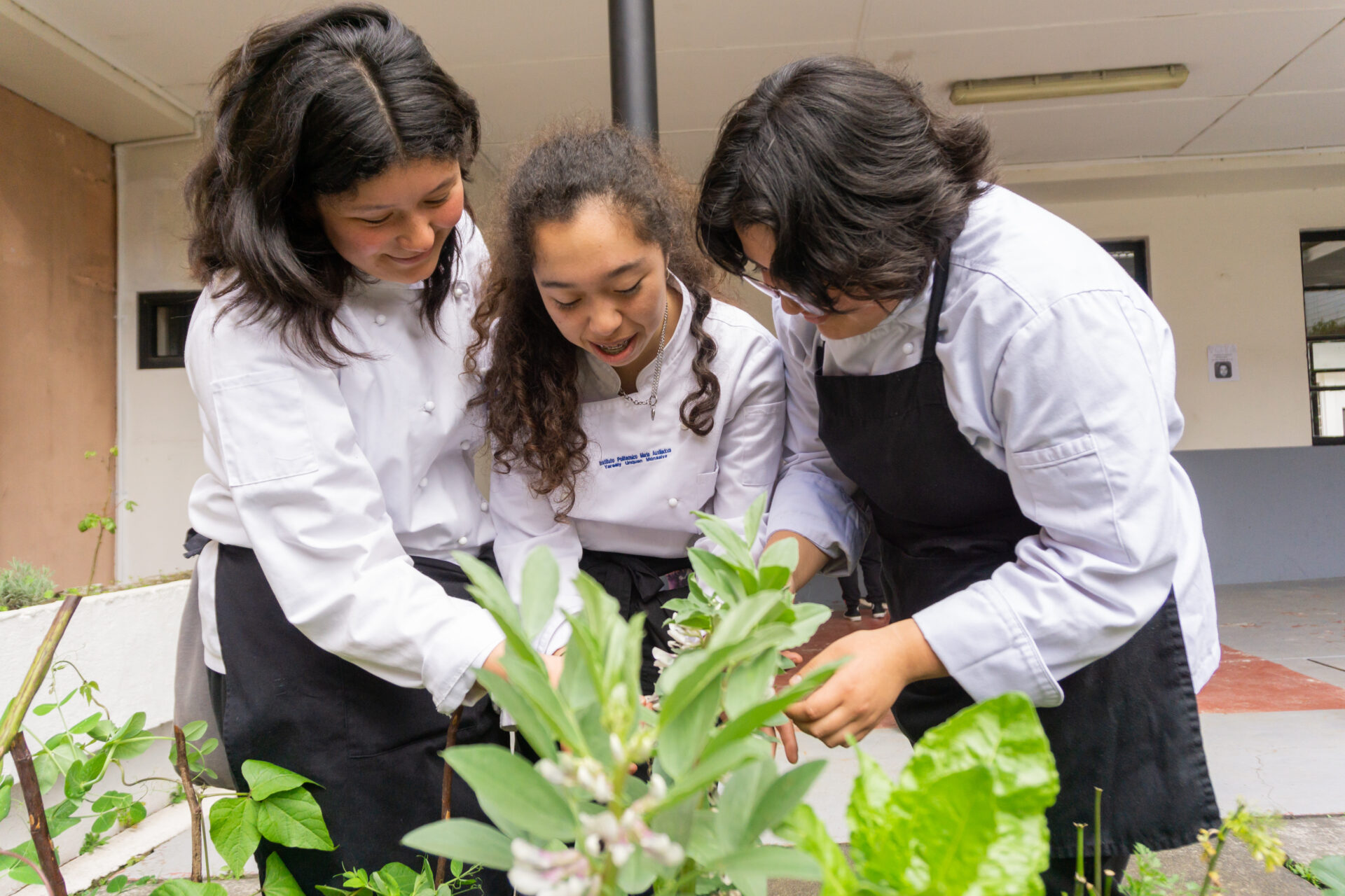¡Una generación verde! El 68,7% de los estudiantes chilenos aspira a trabajar protegiendo el medio ambiente, según estudio de la OCDE