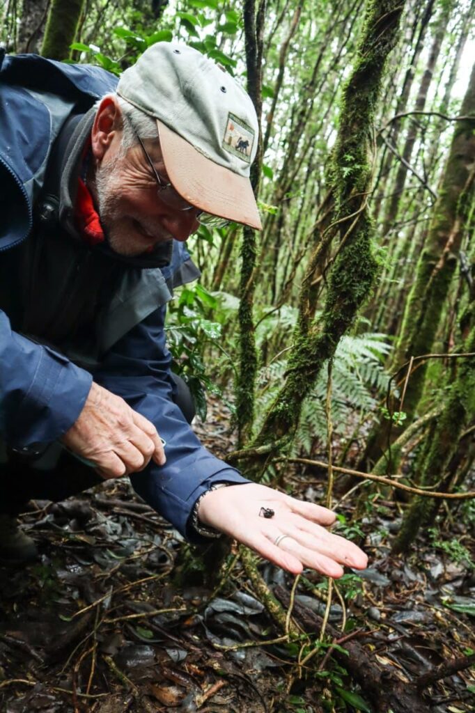 Pete Higgins en Parque Oncol. Créditos: Fundación Club del Bosque Valdiviano y la Universidad del Desarrollo