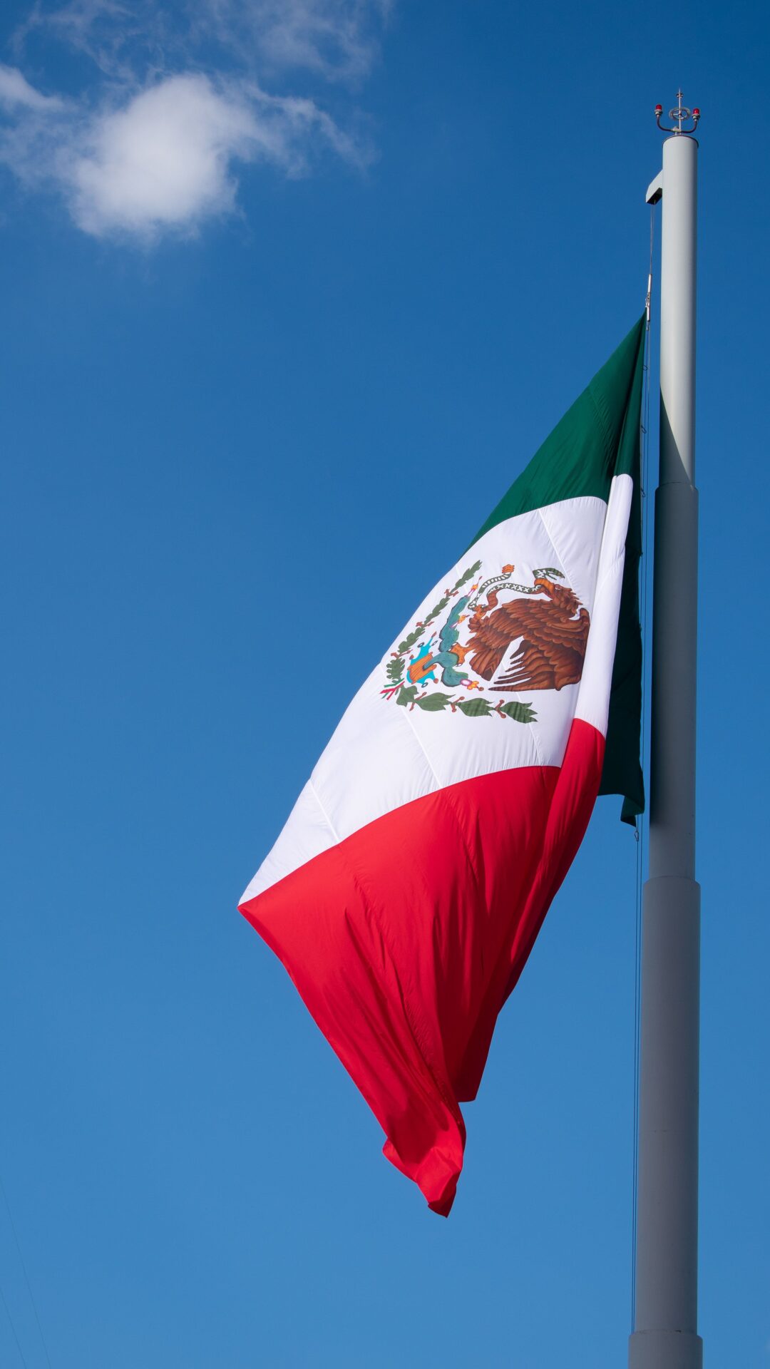 La bandera mexicana: Una mirada biológica al águila, la serpiente y el nopal en estas fiestas patrias