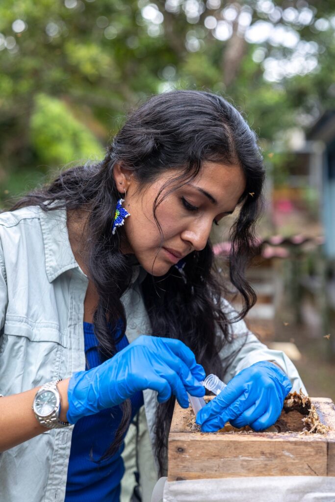 Rosa Vásquez Espinoza  toma muestras durante el trabajo de campo en la Amazonía peruana, donde su equipo ha identificado varias colmenas silvestres. Créditos: Rolex-Sofia Lopez Mañan