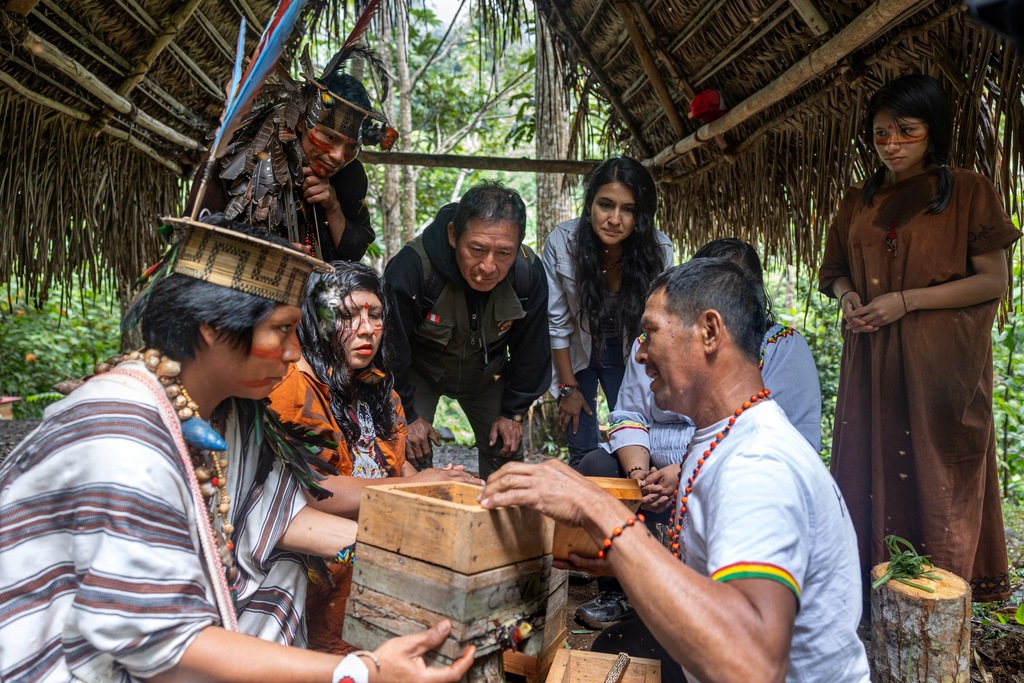 Rosa Vásquez Espinoza trabaja junto a comunidades indígenas de la Amazonía peruana para proteger a las abejas sin aguijón y fortalecer el conocimiento comunitario sobre estos polinizadores. Créditos: Rolex-Sofia Lopez Mañan