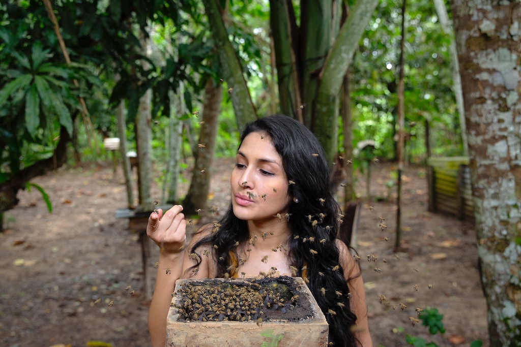 Rosa Vásquez Espinoza rodeada de abejas sin aguijón durante su trabajo de campo en la Amazonía. Para la investigadora, conocer sus capacidades y comportamiento también puede transformar la manera de conservarlas. Créditos: Rolex-Sofia Lopez Mañan