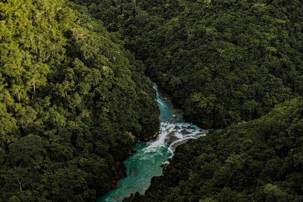 Río Santo Domingo Créditos: María Ulloa