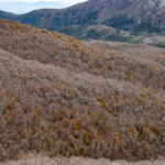 Reserva Nacional Altos de Lircay. Créditos: Benjamín Valenzuela Wallis.