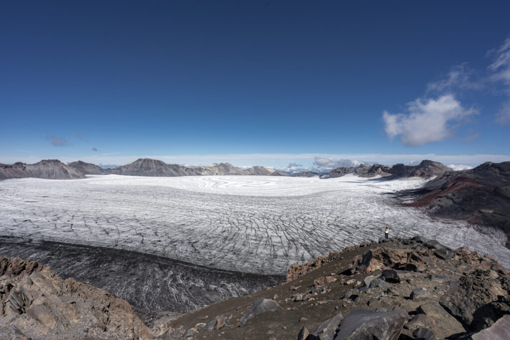 Reserva Nacional Villarrica. Créditos: Benjamín Valenzuela Wallis.