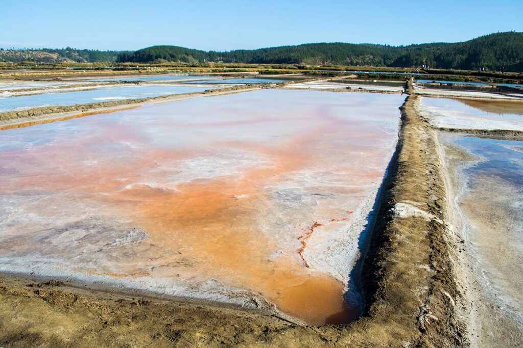 Salinas de Cáhuil ©Romina Bevilacqua