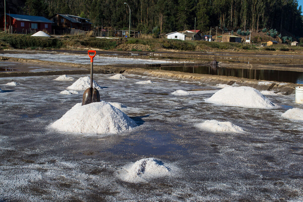 Salinas de Cáhuil ©Romina Bevilacqua
