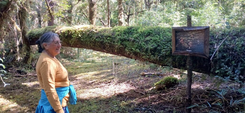 Taller turberas Chiloé Créditos: WCS Chile