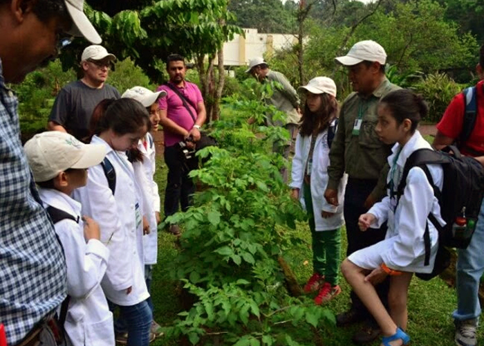 Un grupo de infancias aprende sobre plantas nativas en el Jardín Botánico Francisco Clavijero, ubicado en Xalapa (Veracruz). Créditos: INECOL