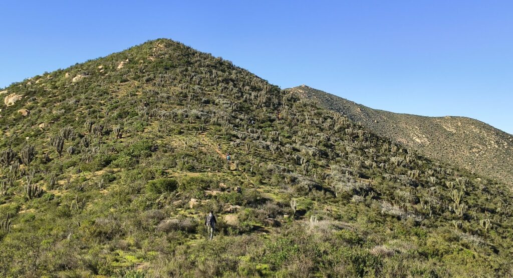 Trekking Cerro Águila y Tres Puntas
Créditos: Fundación Cerros Islas
