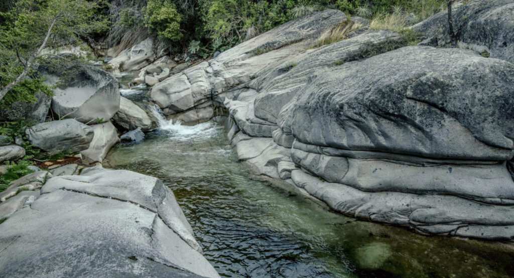 Entre Bosques y Esteros, Romeral, Región del Maule
Créditos: Fundación Cerros Islas
