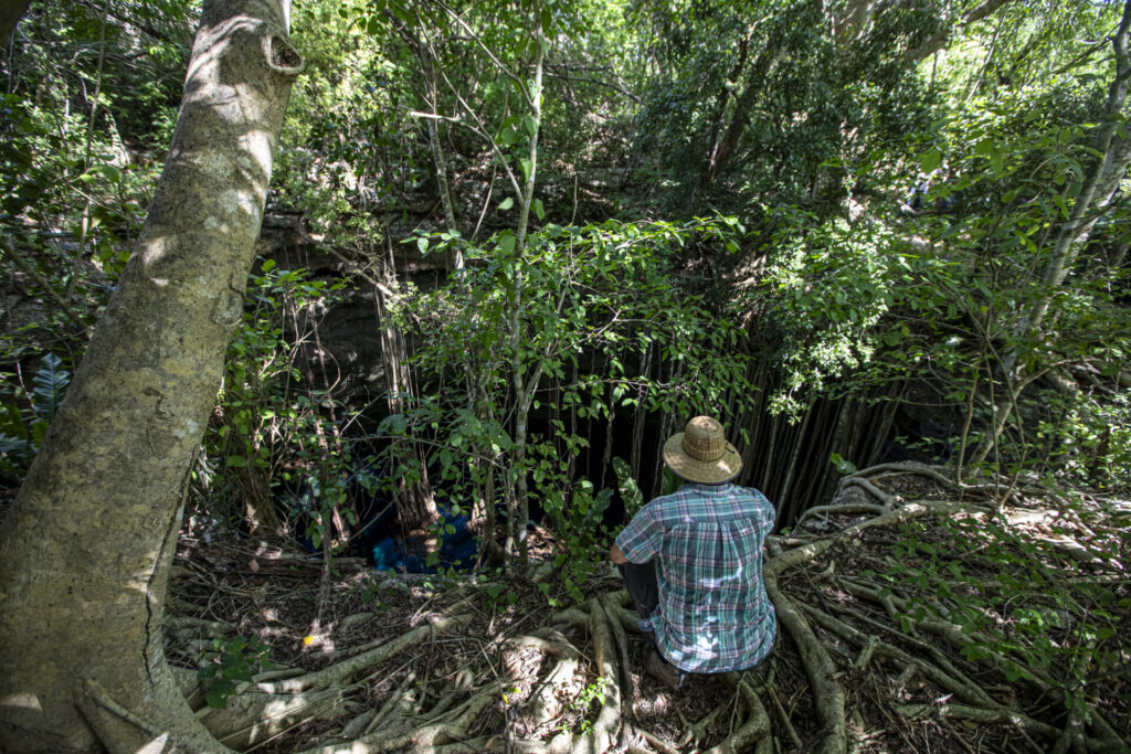 Paul Morris, biólogo y ecólogo, ha dedicado años a la restauración de una reserva ecológica en Yucatán. En el terreno, el cenote y la vegetación circundante ofrecen refugio a diversas especies, incluidas algunas adaptadas a los ambientes subterráneos. Créditos: Greenpeace México / Sara Escobar