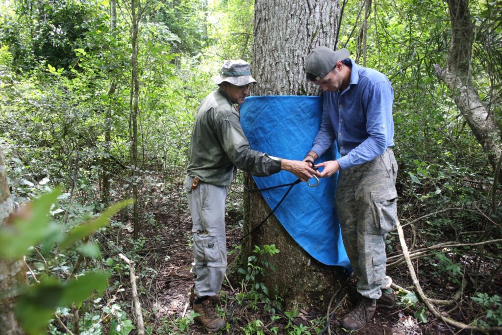 Los biólogos Luis Acosta y Nicolás Malpartida se preparan para escalar un árbol. 
Foto: cortesía Luis Acosta