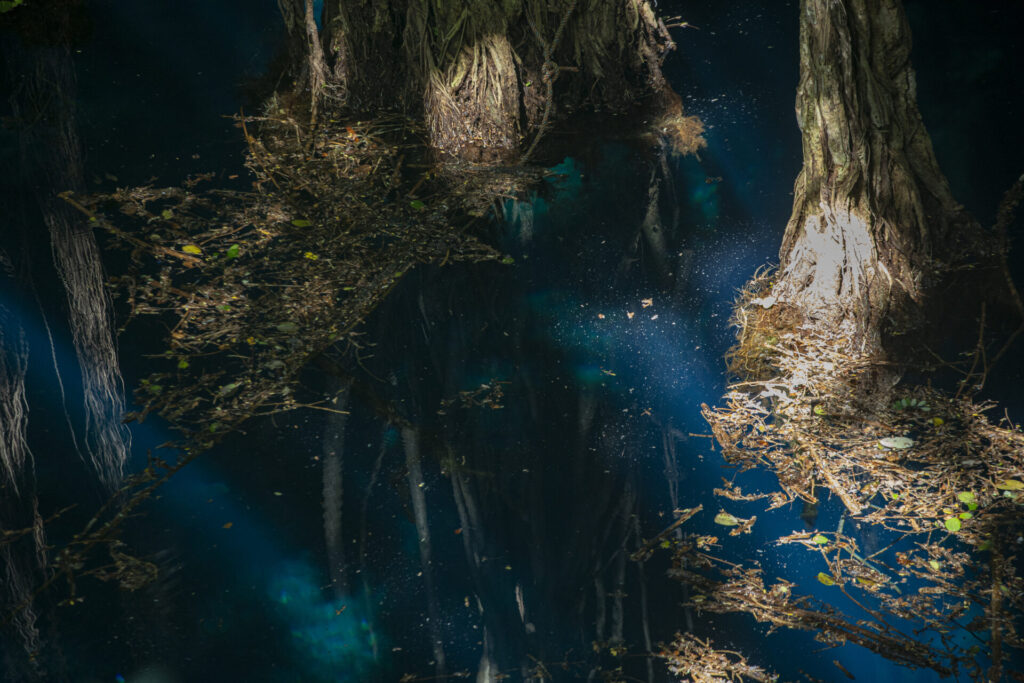 La conexión entre el suelo, las cavidades y el acuífero hace que los cenotes sean especialmente importantes para comprender la dinámica del agua en Yucatán. Su conservación está ligada al cuidado del territorio que los rodea. Créditos: Greenpeace México / Sara Escobar