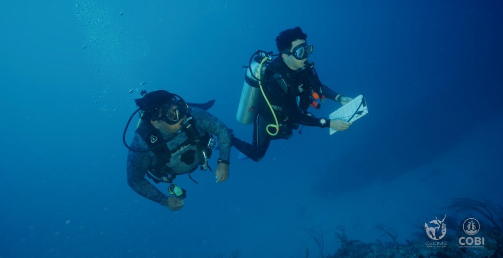 Magdiel ‘Mako’ Naal (izquierda) y Omar Rivera (derecha) durante un monitoreo visual de las agregaciones de mero en Punta Allen. Foto: cortesía Cristina Limonta