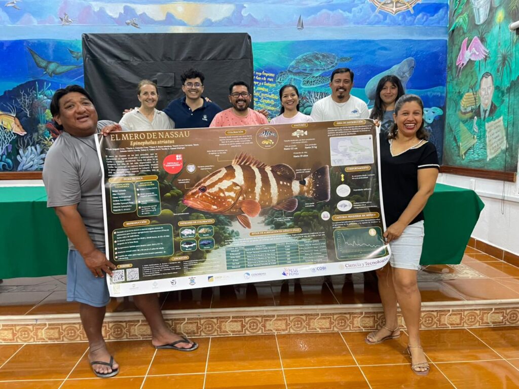 Miembros del CECIMS y COBI presentan cartel informativo sobre el mero del Caribe, también conocido como mero de Nassau o mero estriado. Foto: cortesía Omar Rivera