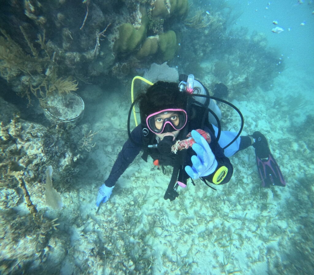 Lucía Cosgaya, monitora del CECIMS, durante un buceo. Foto: cortesía Omar Rivera