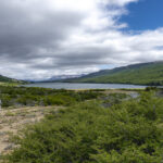 Reserva Nacional Lago Carlota