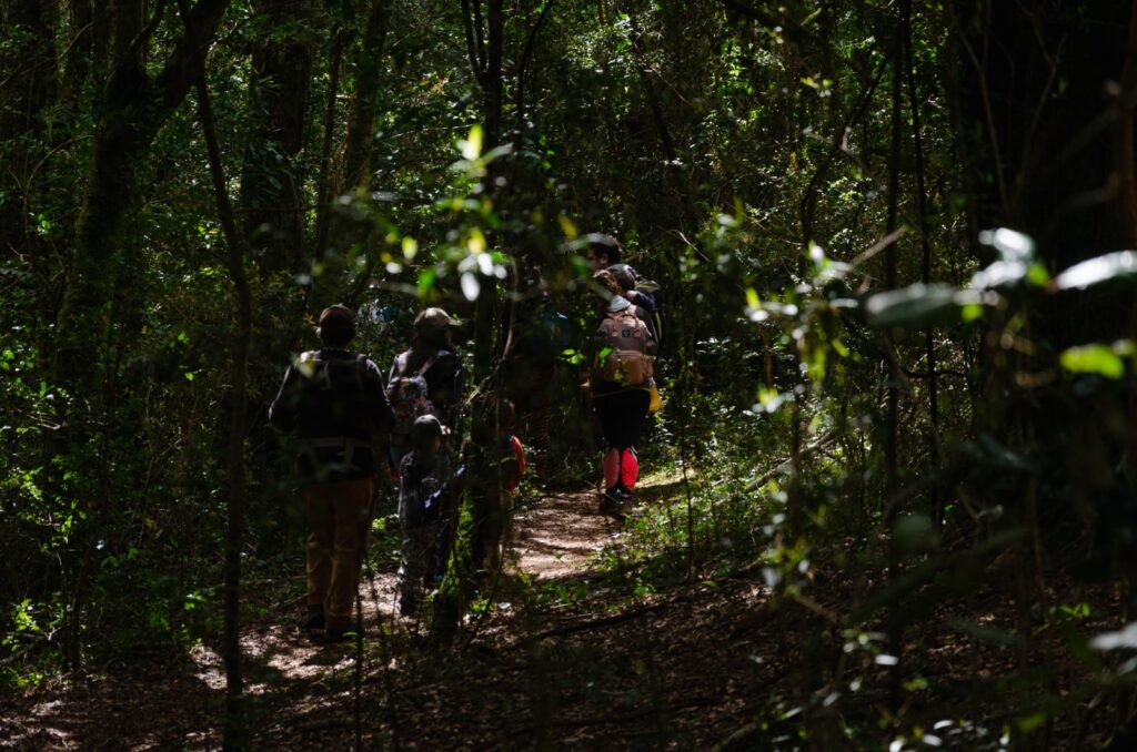Créditos: Centro de Conservación de Orquídeas Chilenas (CECORCH)