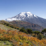 Reserva Nacional Malalcahuello