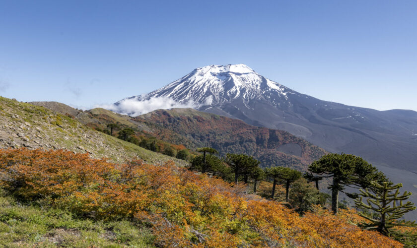 ¿Cuáles has visitado? Conoce las 48 reservas nacionales de Chile