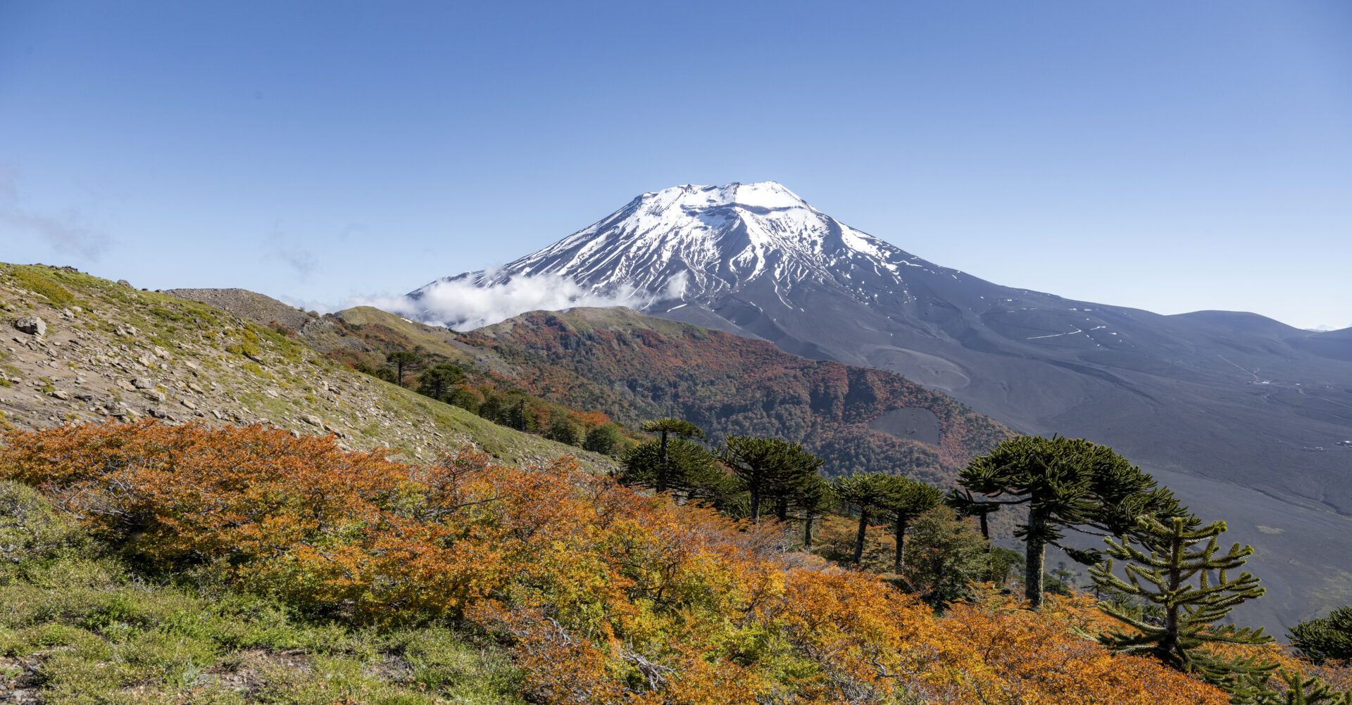 ¿Cuáles has visitado? Conoce las 48 reservas nacionales de Chile