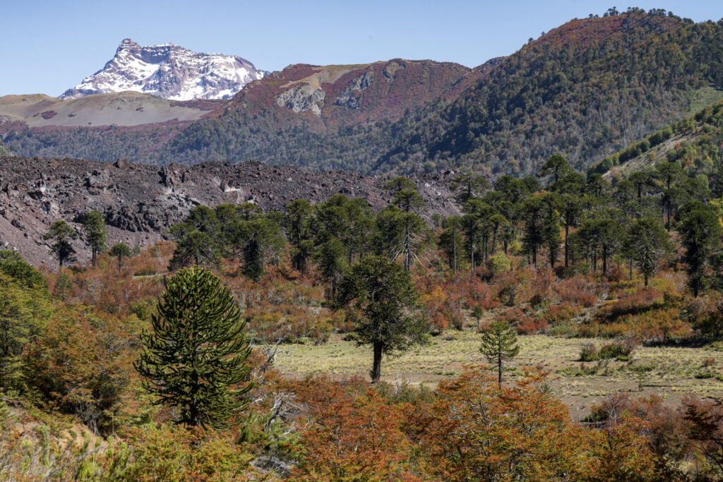 Reserva Nacional Nalcas