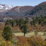 Reserva Nacional Nalcas