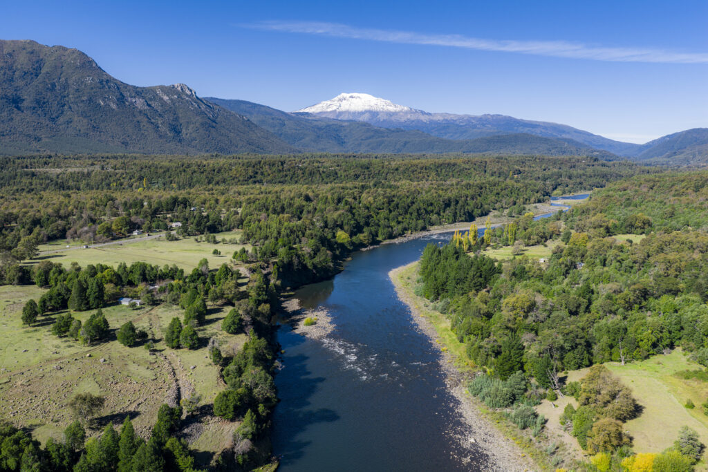 Reserva Nacional Altos de Pemehue. Créditos Benjamín Valenzuela
