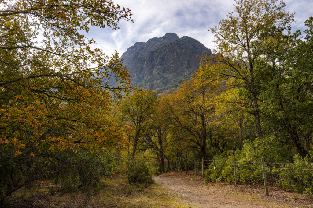 Reserva Nacional Los Bellotos del Melado