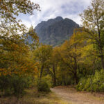 Reserva Nacional Los Bellotos del Melado