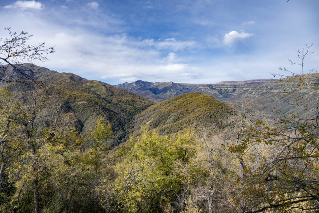 Reserva Nacional Radal Siete Tazas. Créditos Benjamín Valenzuela.