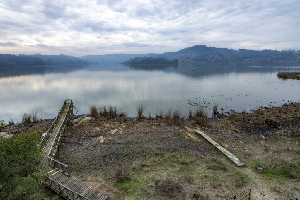 Reserva Nacional Laguna Torca