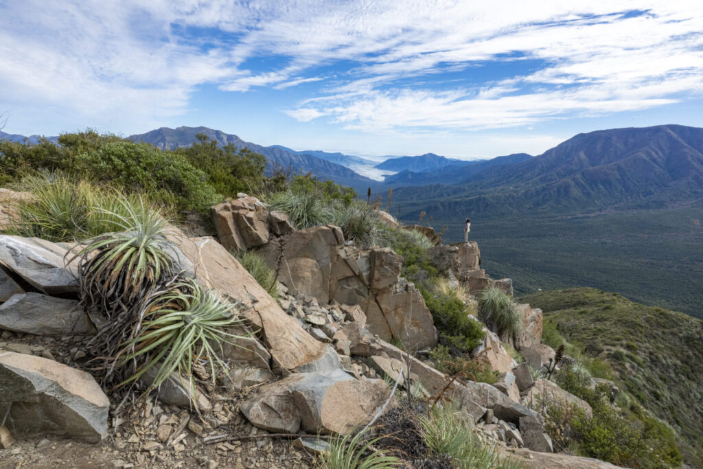 Reserva Nacional Roblería del Cobre de Loncha