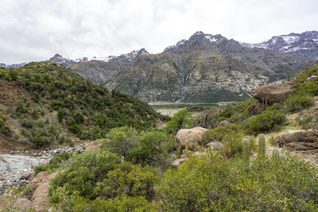 Reserva Nacional Río Los Cipreses. Créditos: Benjamín Valenzuela 