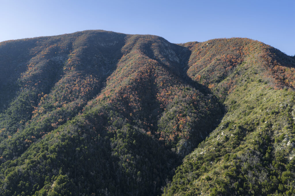 Reserva Nacional San Juan de Piche