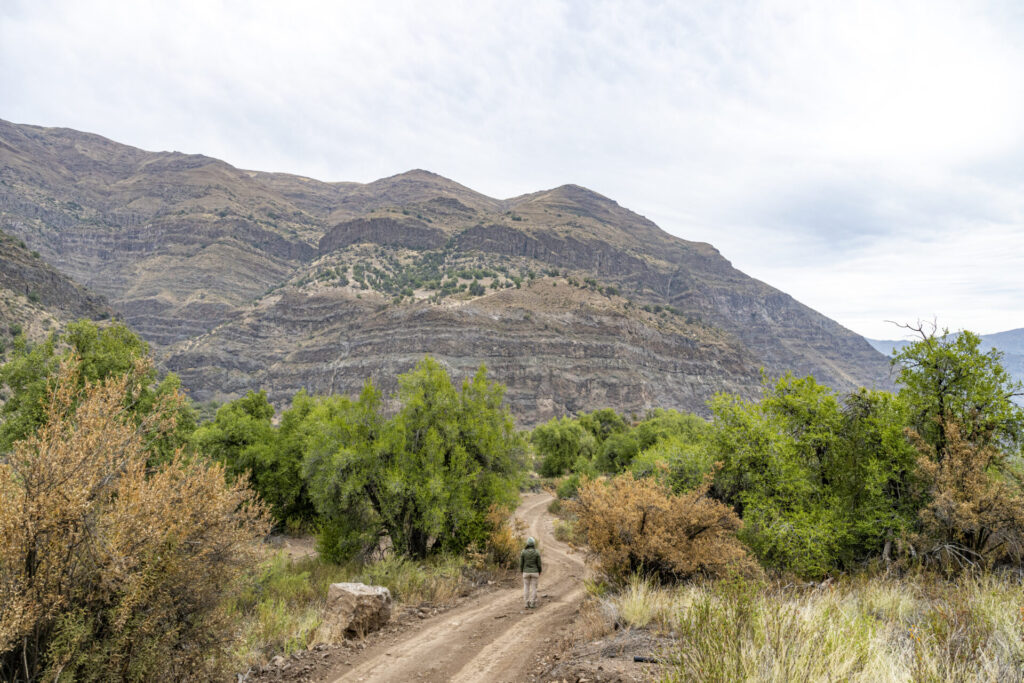 Reserva Nacional San Francisco de Lagunillas y Quiyallal. Créditos: Benjamín Valenzuela