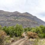 Reserva Nacional San Francisco de Lagunillas y Quiyallal. Créditos: Benjamín Valenzuela