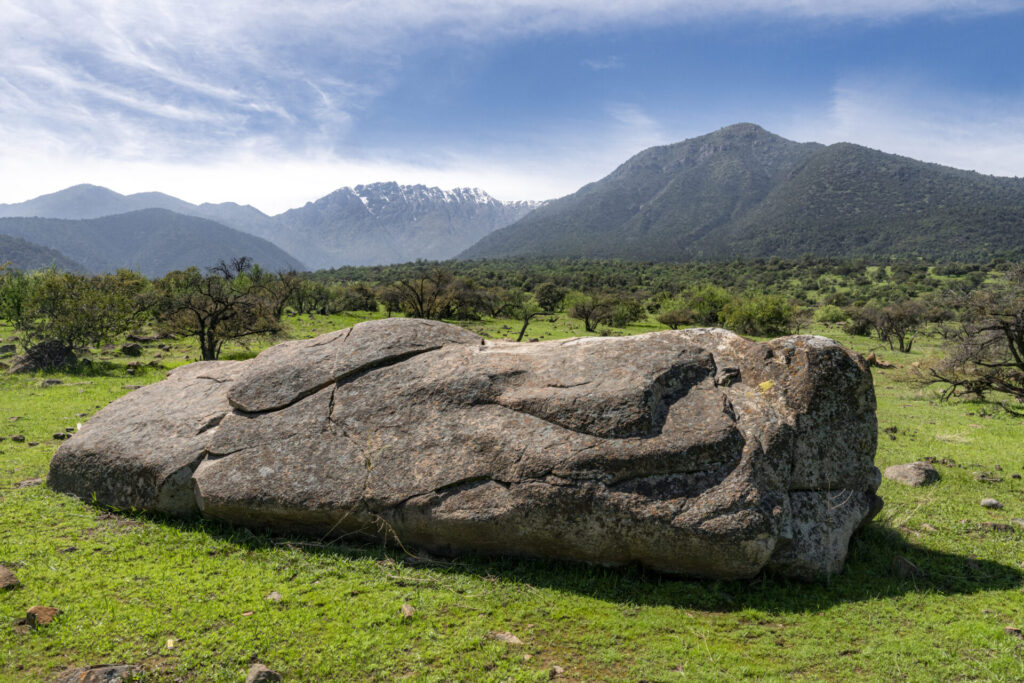 Reserva Nacional Las Torcazas de Pirque. Créditos: Benjamín Valenzuela Wallis.