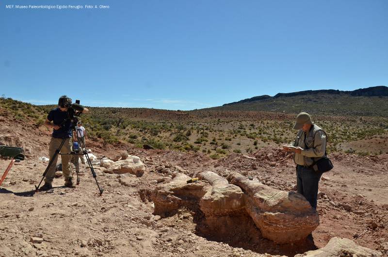 Trabajo de campo. Créditos: A. Otero / MEF