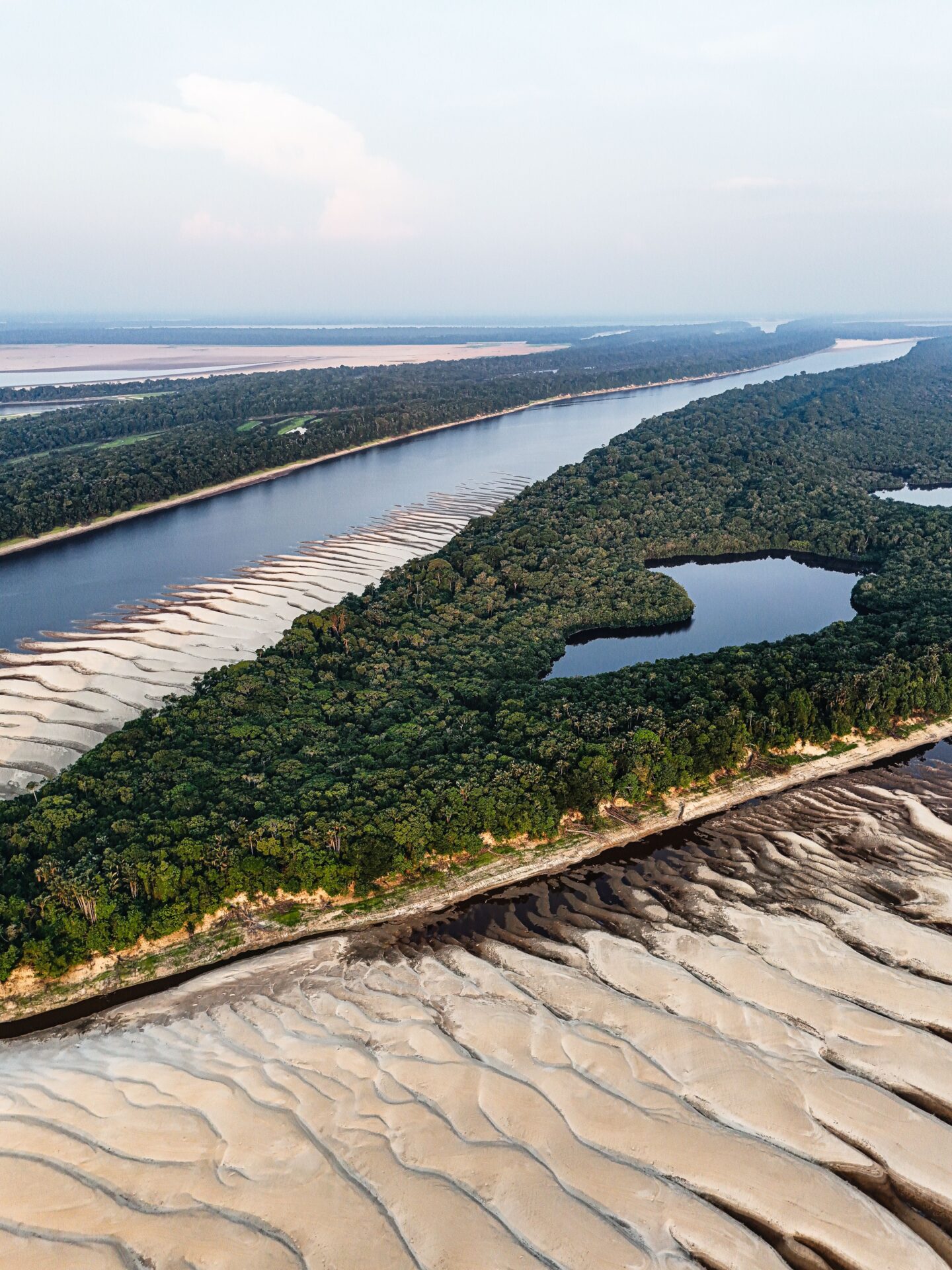 Histórico: La deforestación en la Amazonía brasileña alcanza su nivel más bajo desde 1988