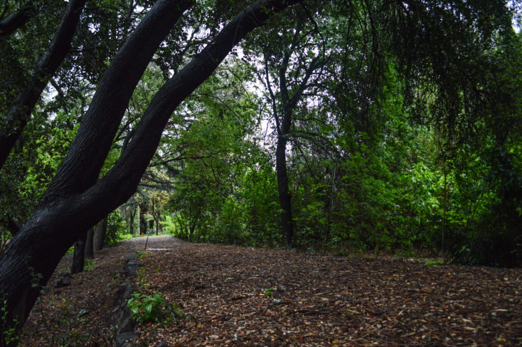 Camino La Pirámide, Parque Metropolitano de Santiago. Créditos: Sebastián Maturana / flickr