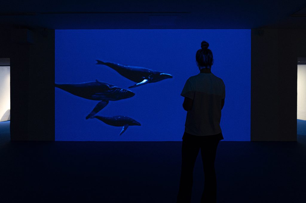 Exhibition View of CAUTÍN by Seba Calfuqueo, Museo Nacional Thyssen-Bornemisza © TBA21 _ Maru Serrano 