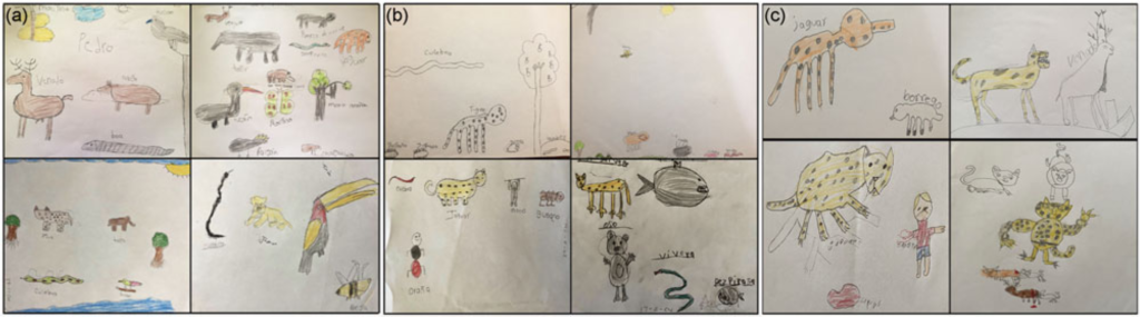 Dibujos con los que las infancias respondieron a las preguntas sobre los jaguares. Foto: cortesía estudio Listening to children, writing for coexistence
