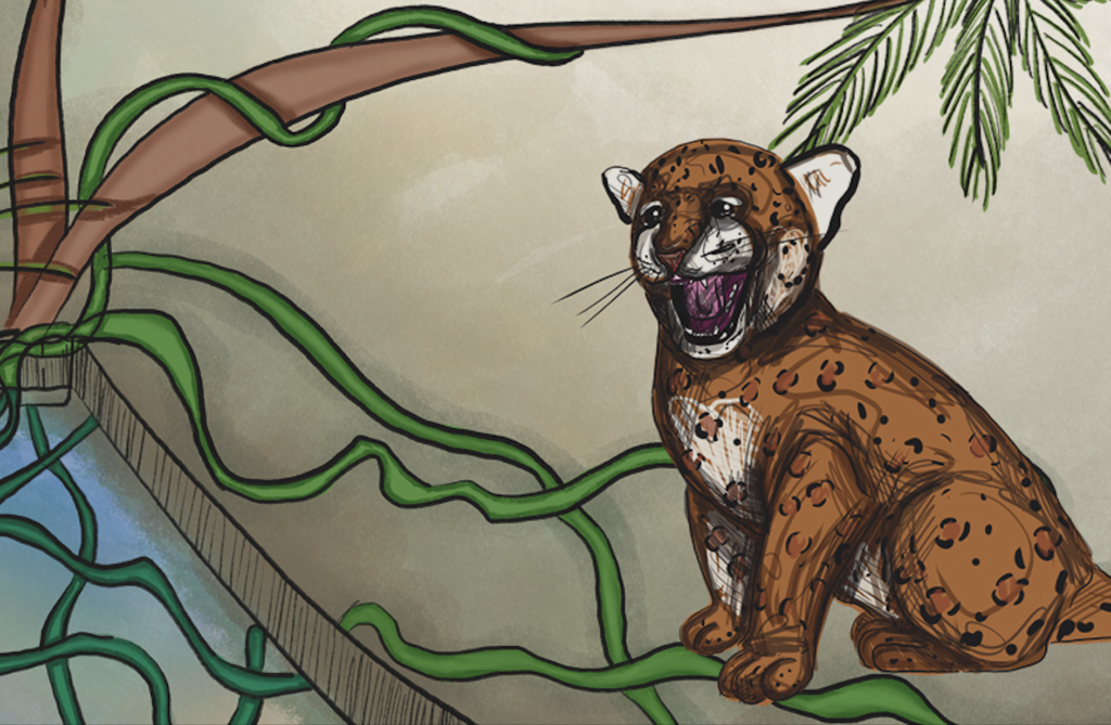 Kaan descubre que los jaguares ayudan a mantener el equilibrio de la selva y que los seres humanos no forman parte de su dieta. Ilustración: cortesía Ingrid Domínguez Lagunes